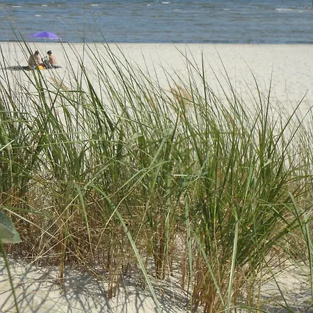 Wellenrauschen - Strandnah- *